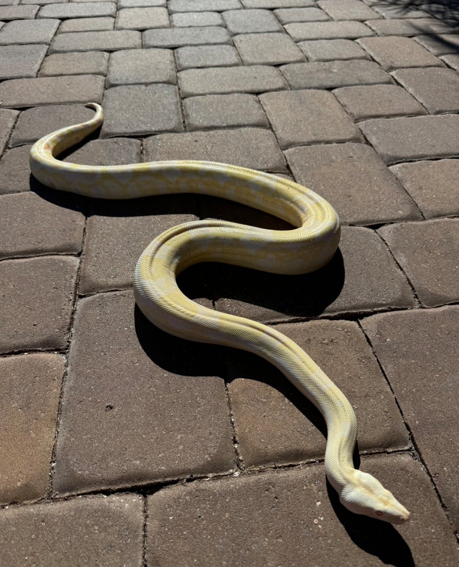 1741276979726.png