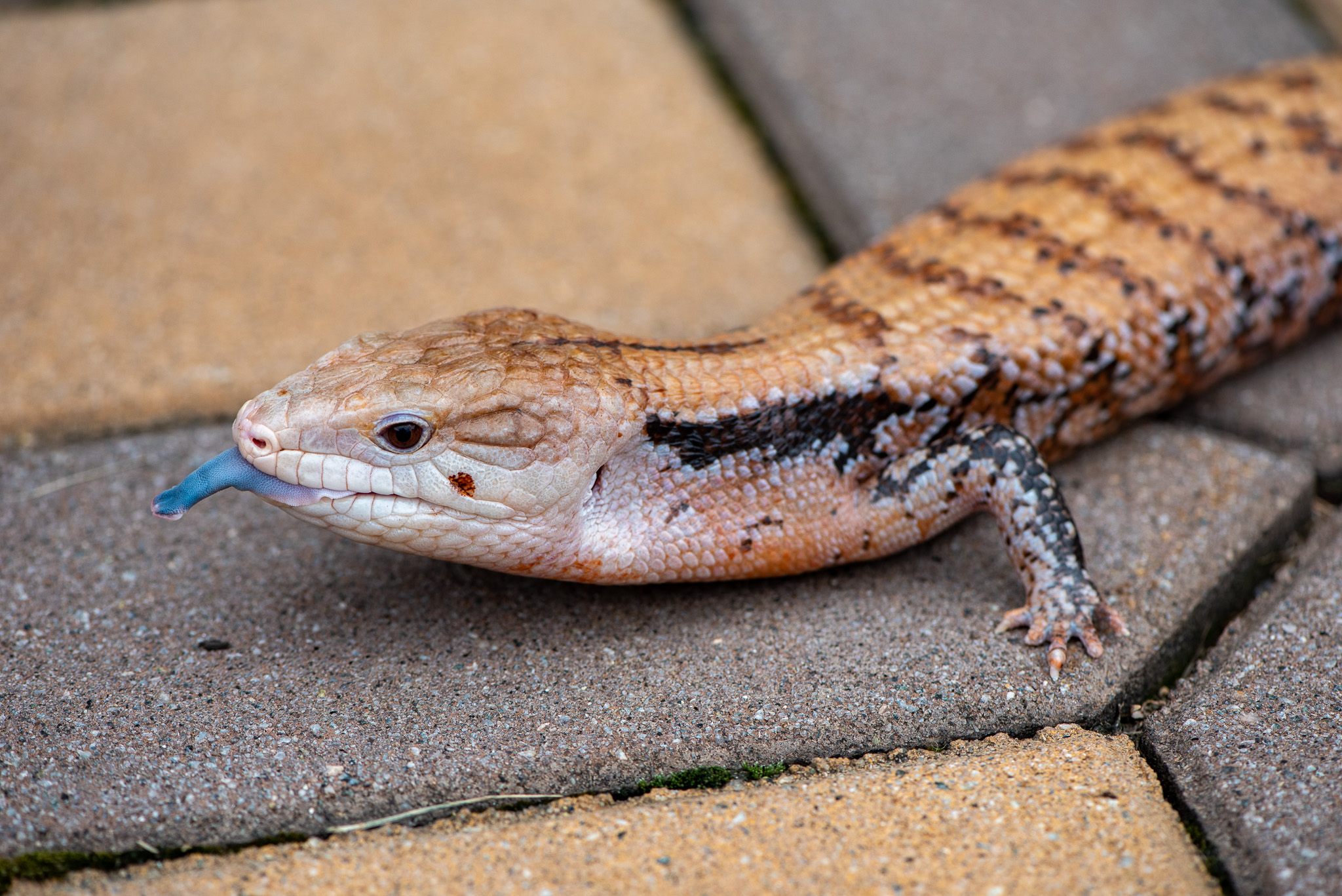 DSC_5663.jpg