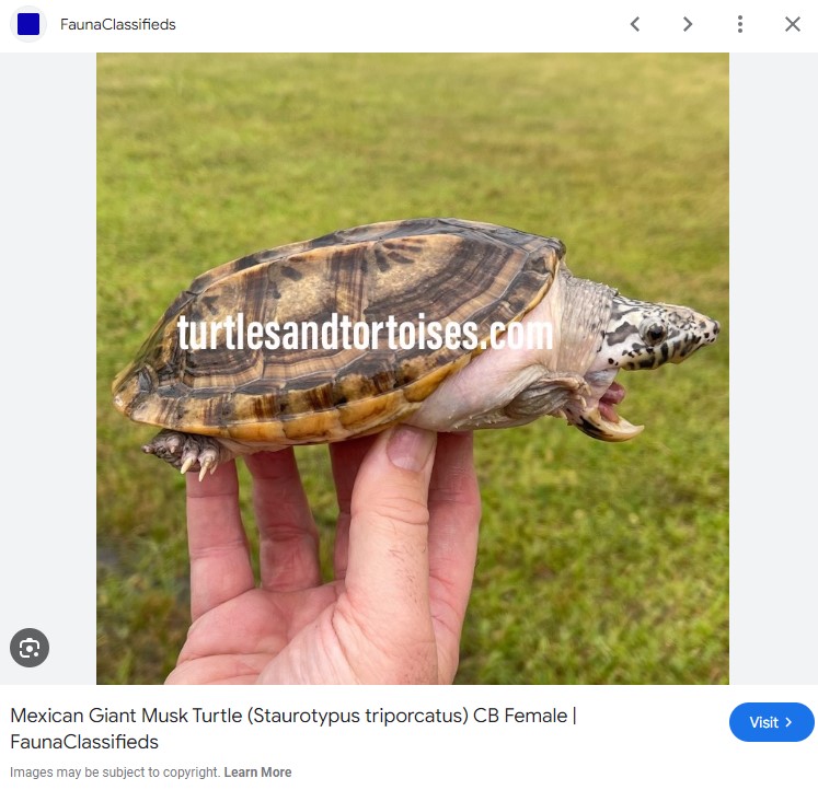 Screenshot 2024-08-08 095411.jpg