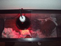 Tank 11-6-2006 001.jpg