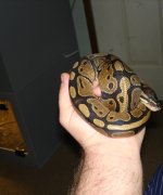 DSC00236.JPG