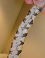 DSC00244.JPG