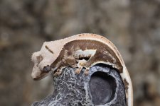 6R8A9526.jpg
