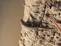 C76E0E21-761B-4D91-B1F8-CE1BEF9143C0.jpg