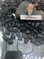 image4.jpeg