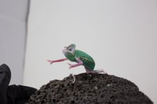 IMG_4873.jpg