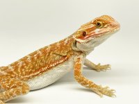 IMG_5326.jpg