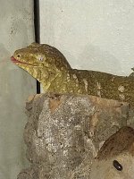 IMG_20220225_160423539.jpg