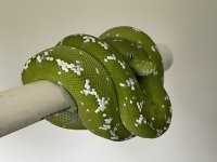 76F42FB7-8369-4C13-80AC-8DD01D99D32F.jpg