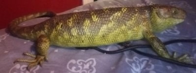 20220226_072736.jpg