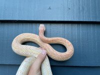 IMG_0975.jpg