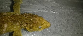IMG_20230409_214650.jpg