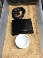 3CA83131-1EB2-446D-AE39-A1DD49B9AA66.jpg