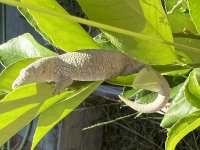 IMG_1582.jpg