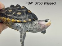 IMG_8508 2.jpg