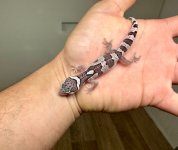 20230825072635.69-IMG_0758-428x361c.jpeg