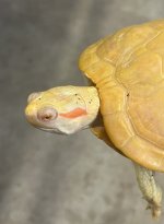 IMG_8429.jpg