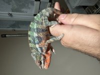 IMG_1393.jpg