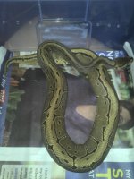 2011-05-21_19-45-17_434.jpg