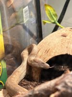 IMG_0669.jpg