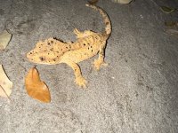 IMG_1710.jpg