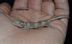 DSC_1745.jpg