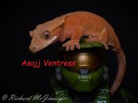 asajj labeled.jpg