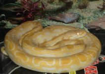 sun_july0208a.jpg
