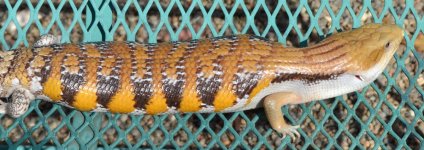 LD1_1-23-24_09w.jpg