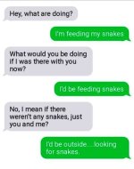 msg_snakes.jpg
