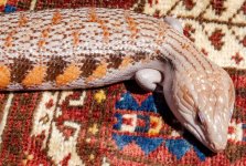 GAR1_4-27-24_19w.jpg