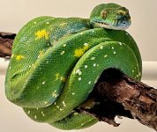IMG_3583.jpg