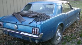 66 mustang.jpg
