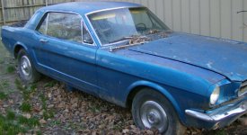 mustang2.jpg
