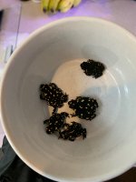 IMG_5603.jpeg