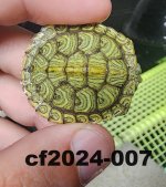 cf2024-007-1.jpg