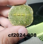 cf2024-008-1.jpg