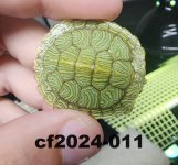 cf2024-011-1.jpg
