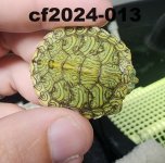 cf2024-013-1.jpg