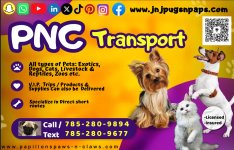 PNC transport logo.jpg