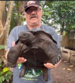 E3 male Aldabra.jpg