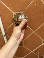 IMG_1699.jpeg