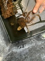 IMG_8849.jpeg