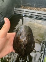 IMG_8850.jpeg