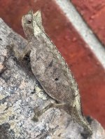 IMG_6758.jpeg