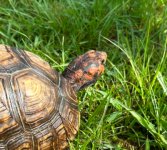 IMG_0746.jpeg