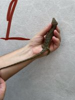 IMG_2975.jpeg