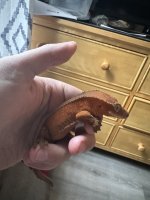 IMG_3146.jpeg
