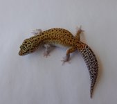 DSC01582.JPG