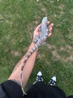 IMG_4740.jpeg